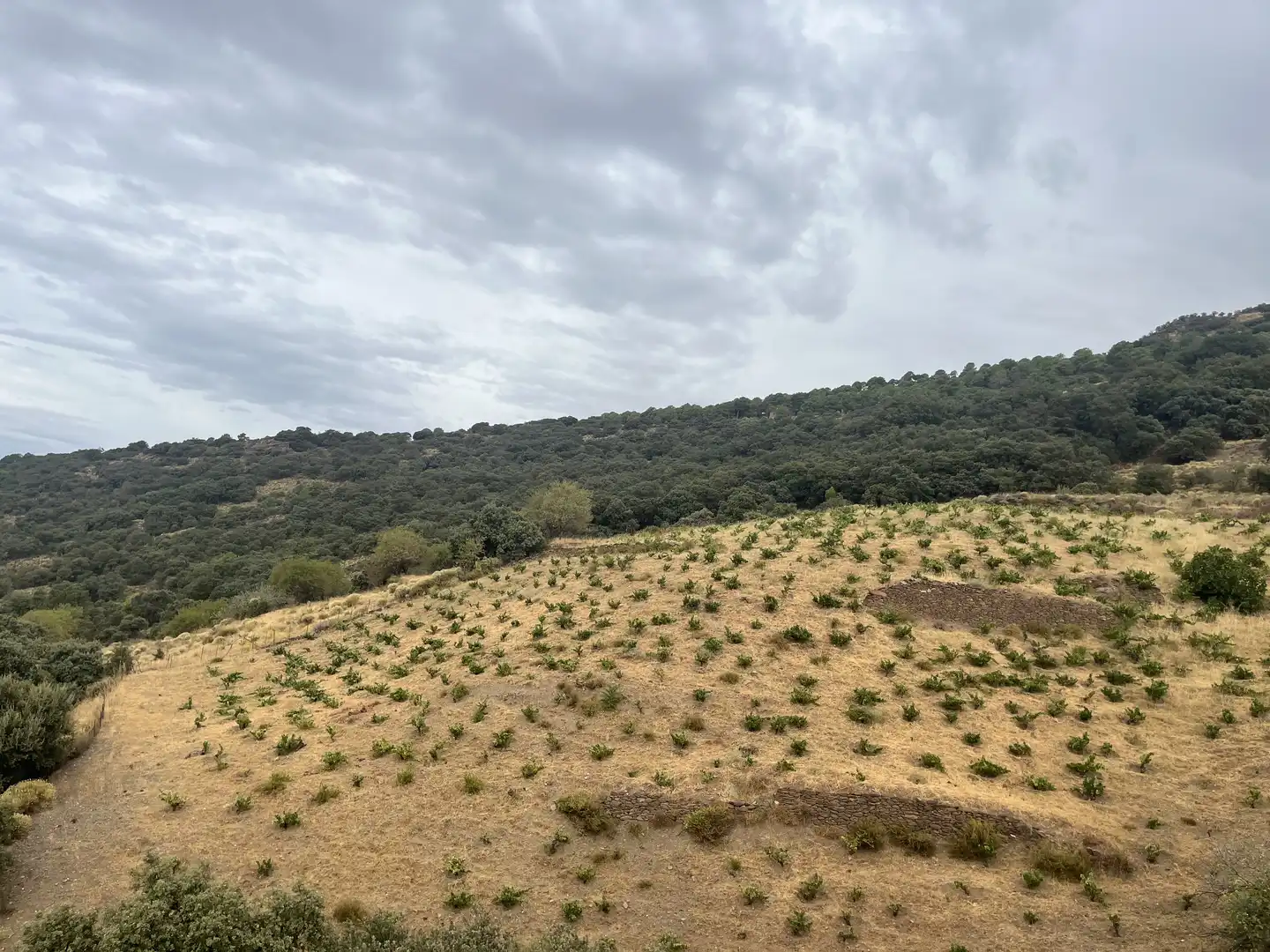 Terreno en venta en La Taha