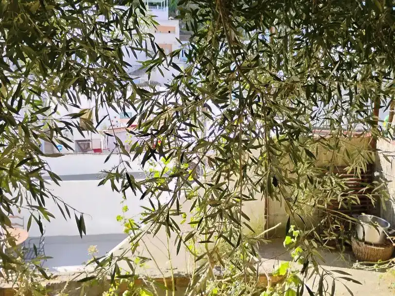 Jardí de Casa adosada en venda en Alcalá de los Gazules amb Balcó