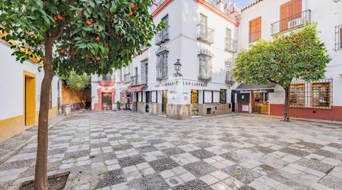 Foto 2 de Dúplex en venta en Alfalfa - Santa Cruz, Sevilla