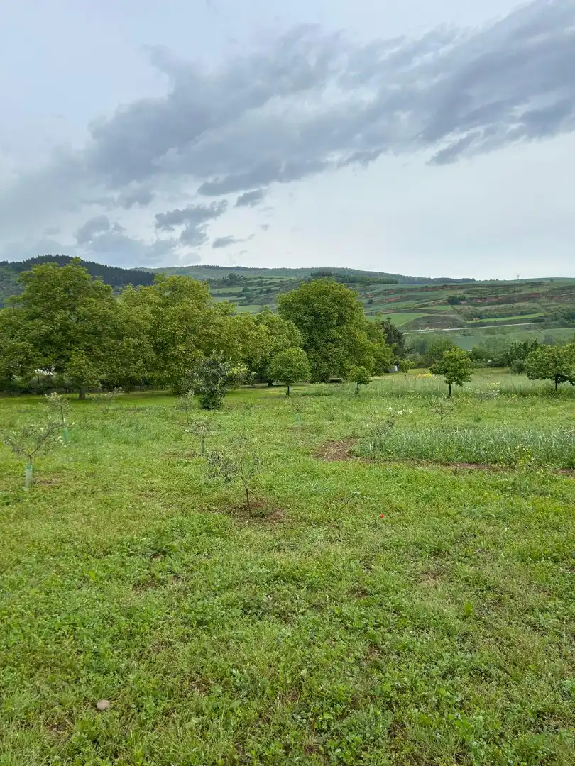Residencial en venta en Estollo
