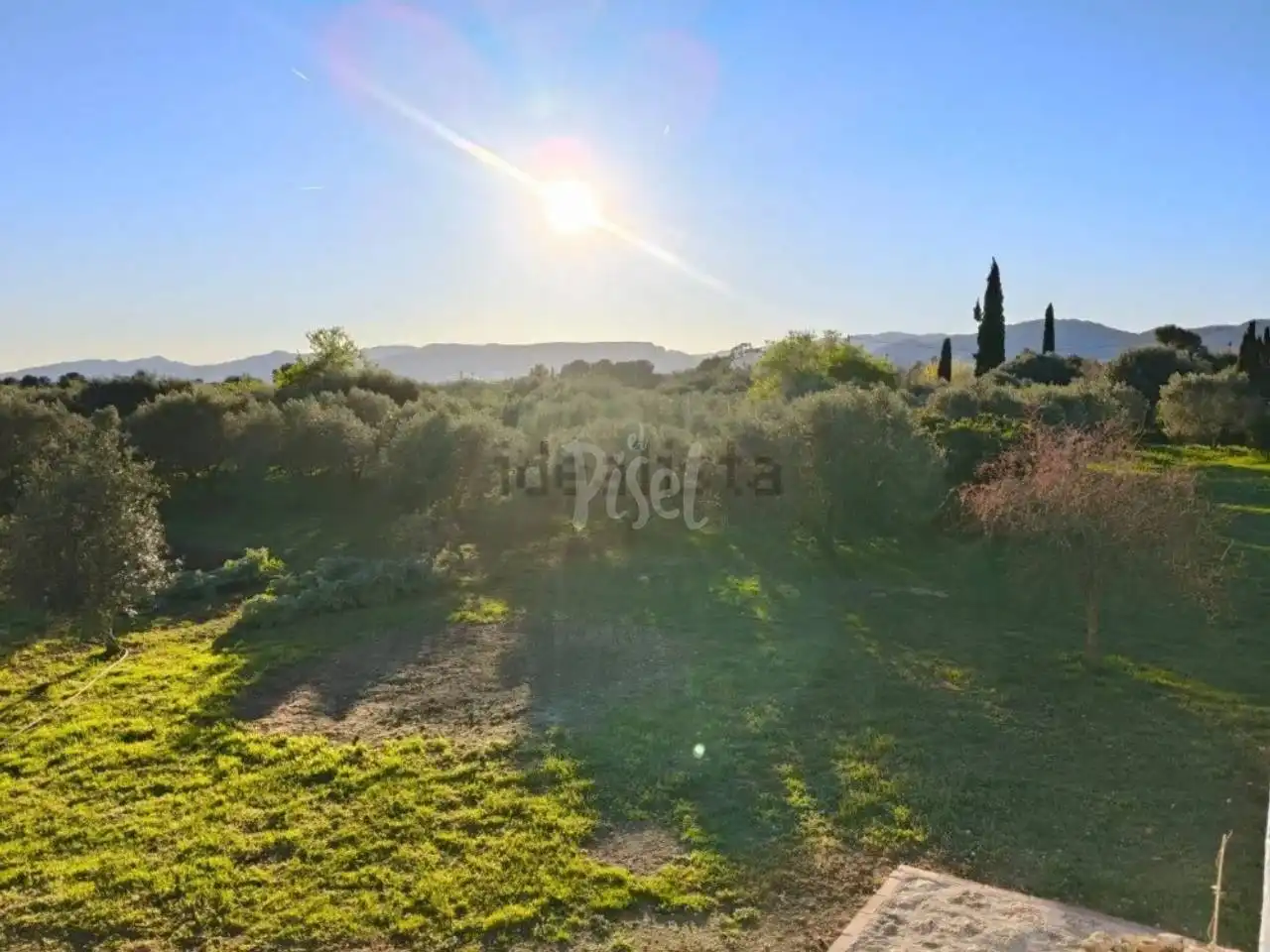 Terreno rústico en venta en El Pla de Santa Maria, imagen 9