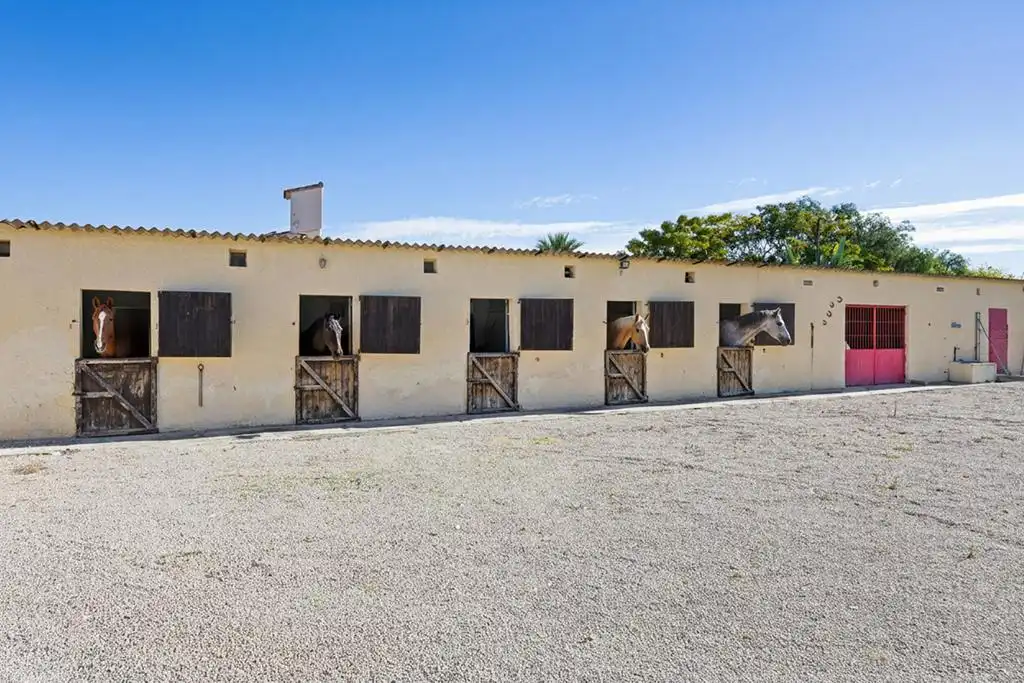 Villa avec piscine à vendre à Carretera de Alcalí a la Playa, imagen 35