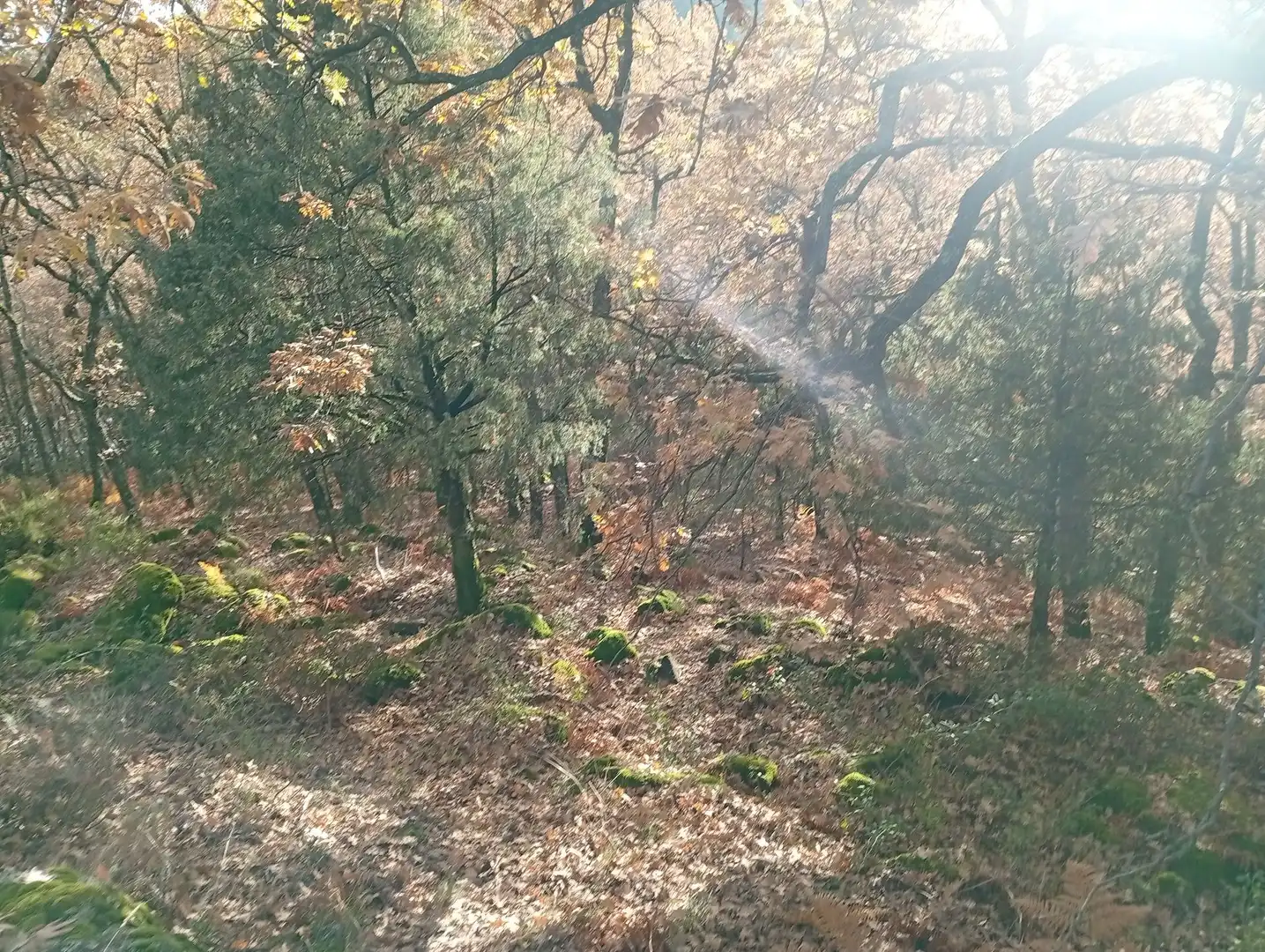 Terreni e lotti in vendita a Villanueva de la Vera, imagen 21