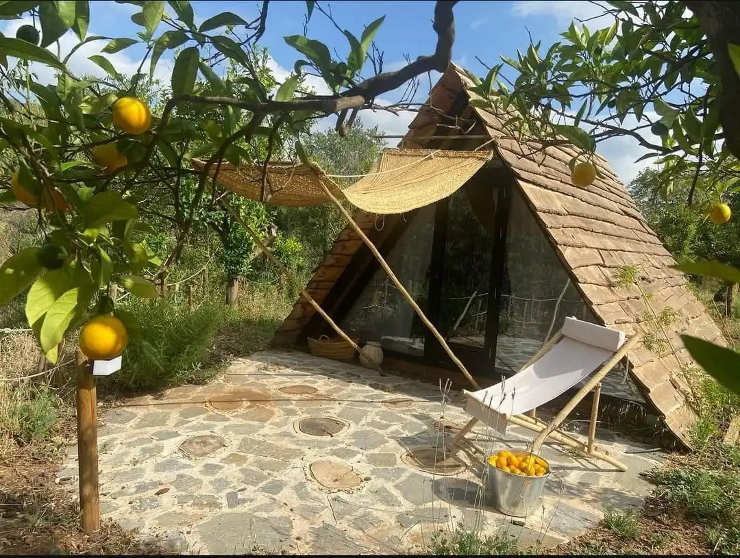 Jardín de Finca rústica en venta en Monda con Aire acondicionado, Jardín privado y Terraza