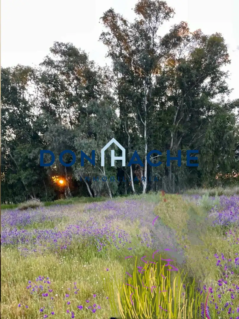 Terreni e lotti in vendita a Oeste, imagen 7