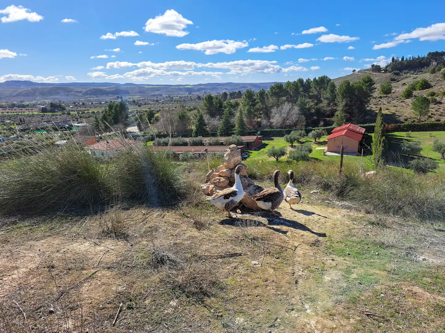 Casa o xalet en venda en Chinchón amb Calefacció, Jardí privat i Terrassa