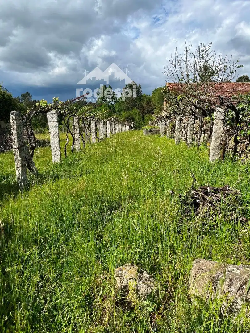 Terreny rústic en venda a Salvaterra de Miño