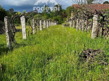 Terreny rústic en venda a Salvaterra de Miño