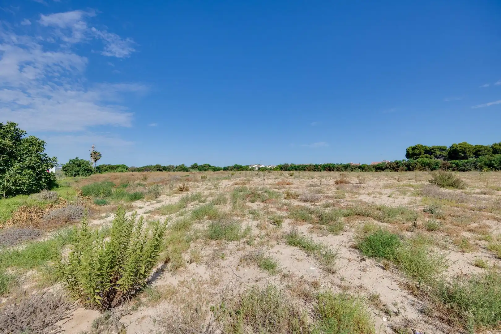 Casa o xalet en venda en Torrevieja amb Aire condicionat, Jardí privat i Terrassa