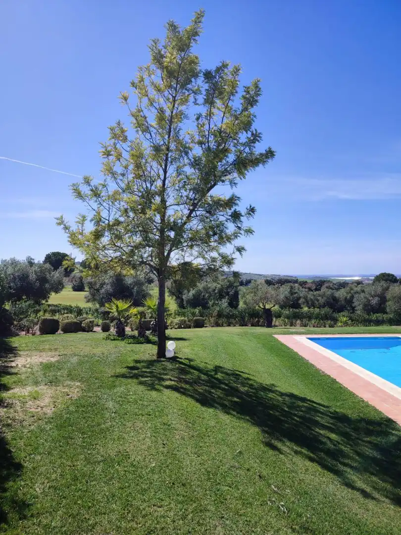 Chalet en venta en Arcos de la Frontera, imagen 4