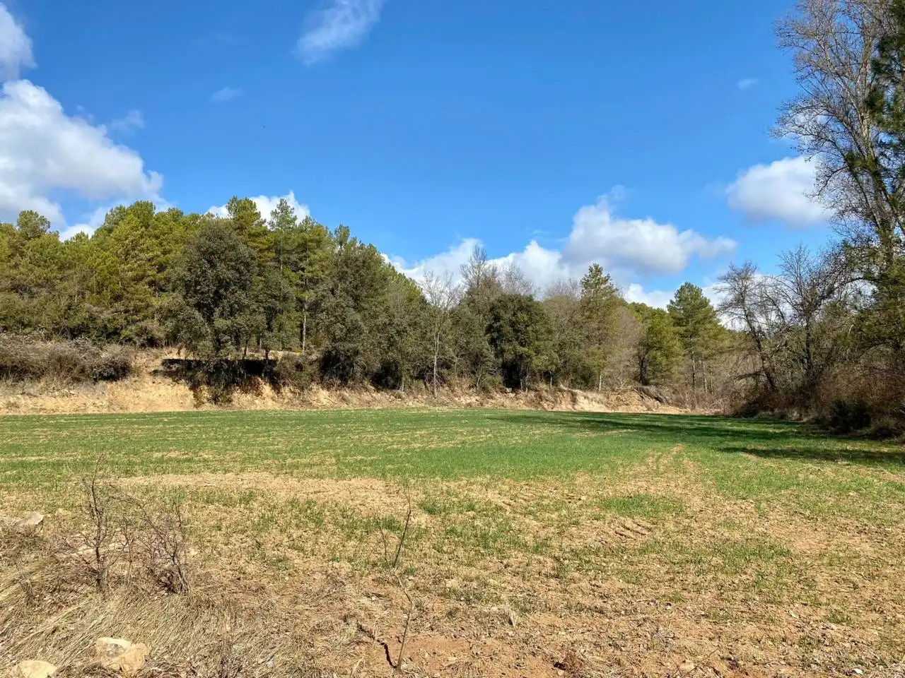 Finca rústica en venta en La Baronia de Rialb con Jardín privado