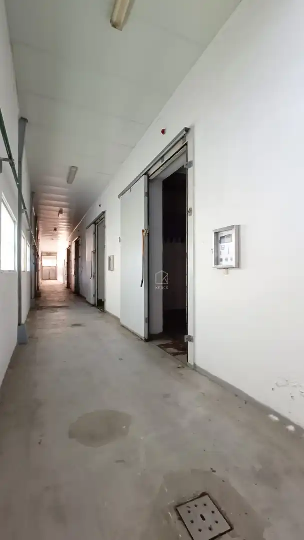 Fabrikhallen zum Verkauf in Tineo