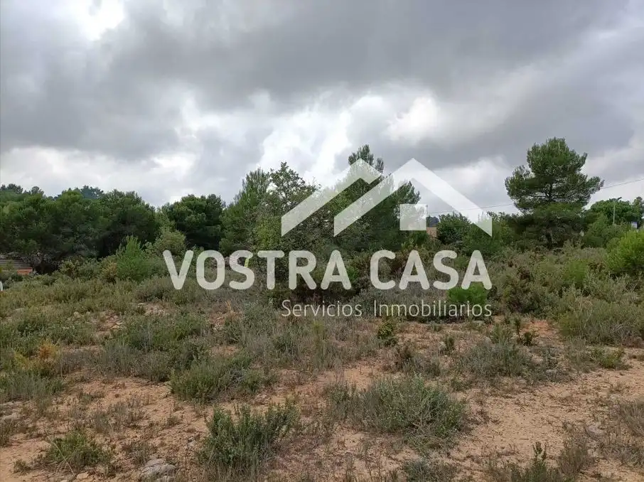 Terreno rustico in vendita a LOMA CABALLEROS, imagen 4