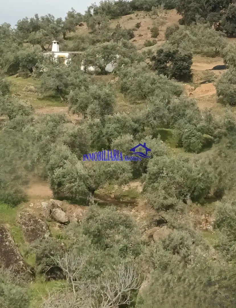 Country homes for sale in Adamuz, Córdoba