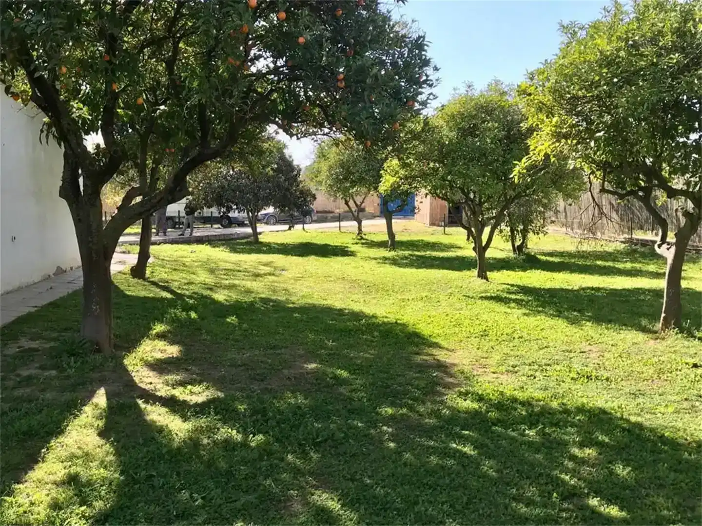 Pis en venda en Sanlúcar la Mayor, Sevilla