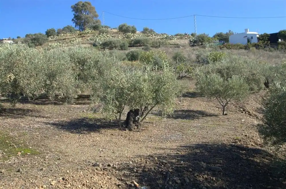 Casa en venda a Torrox Pueblo, imagen 8