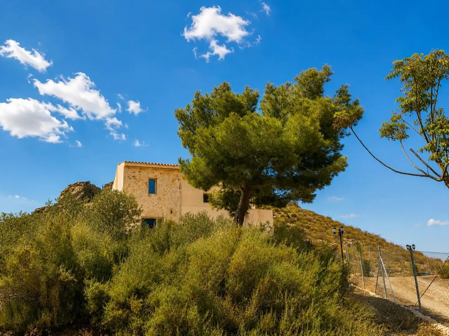 Vista exterior de Casa o xalet en venda en Aspe amb Jardí privat, Terrassa i Traster