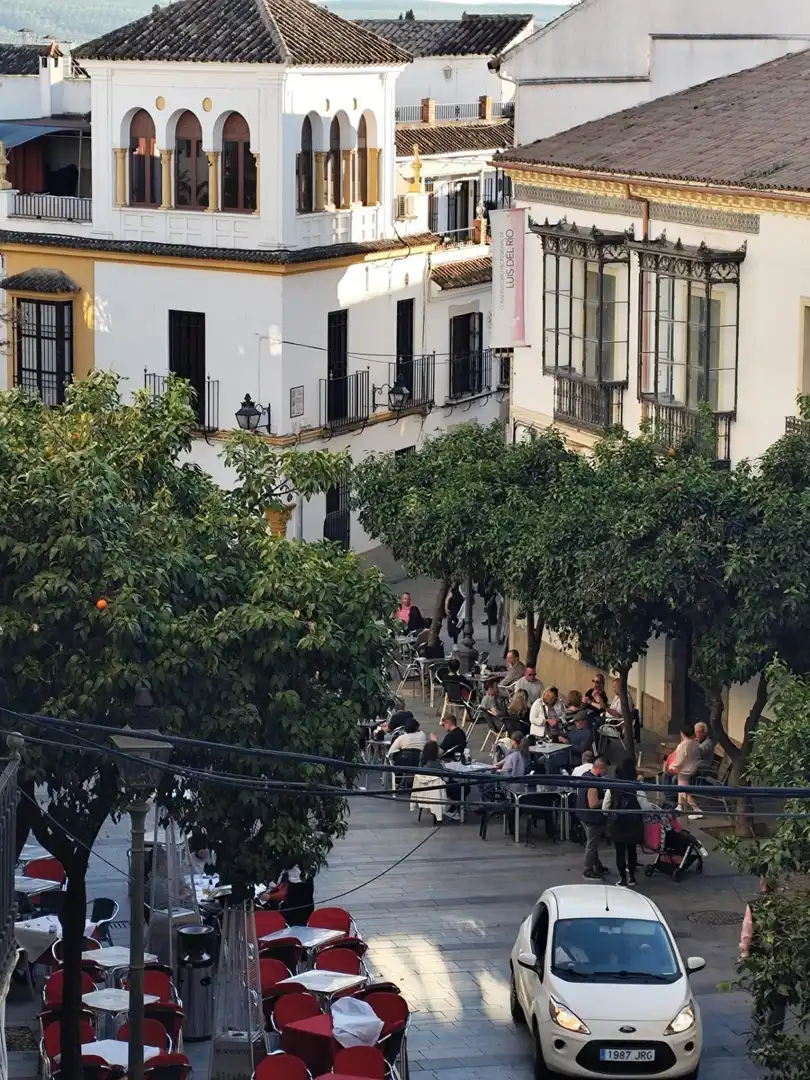 Individual for sale in Centro, imagen 3