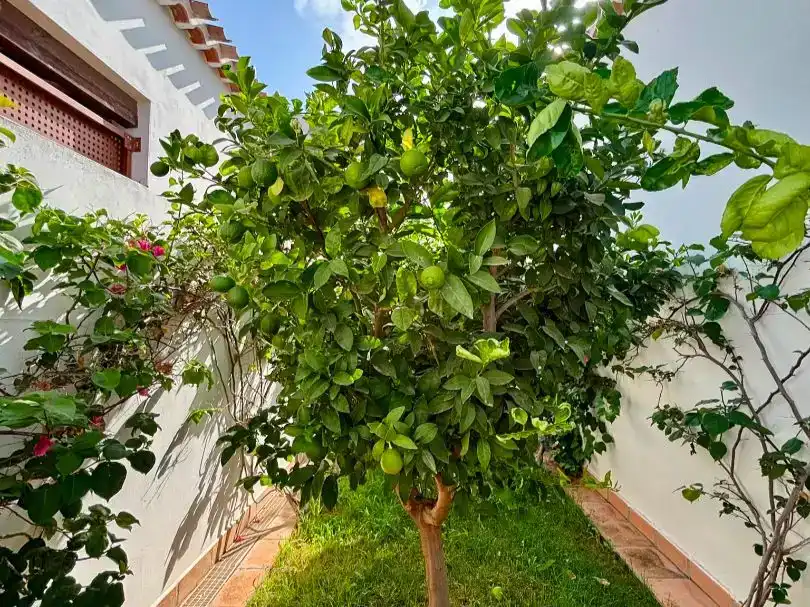 Jardí de Pis en venda en  Murcia Capital amb Aire condicionat i Piscina
