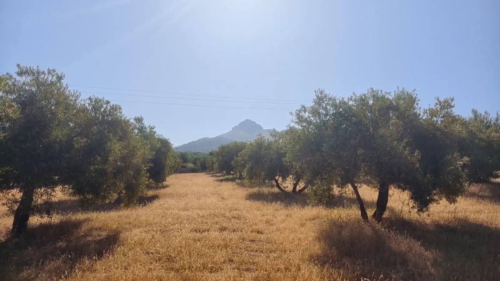 Terreni e lotti in vendita a Camino Cogollos de la Vega 11, imagen 4