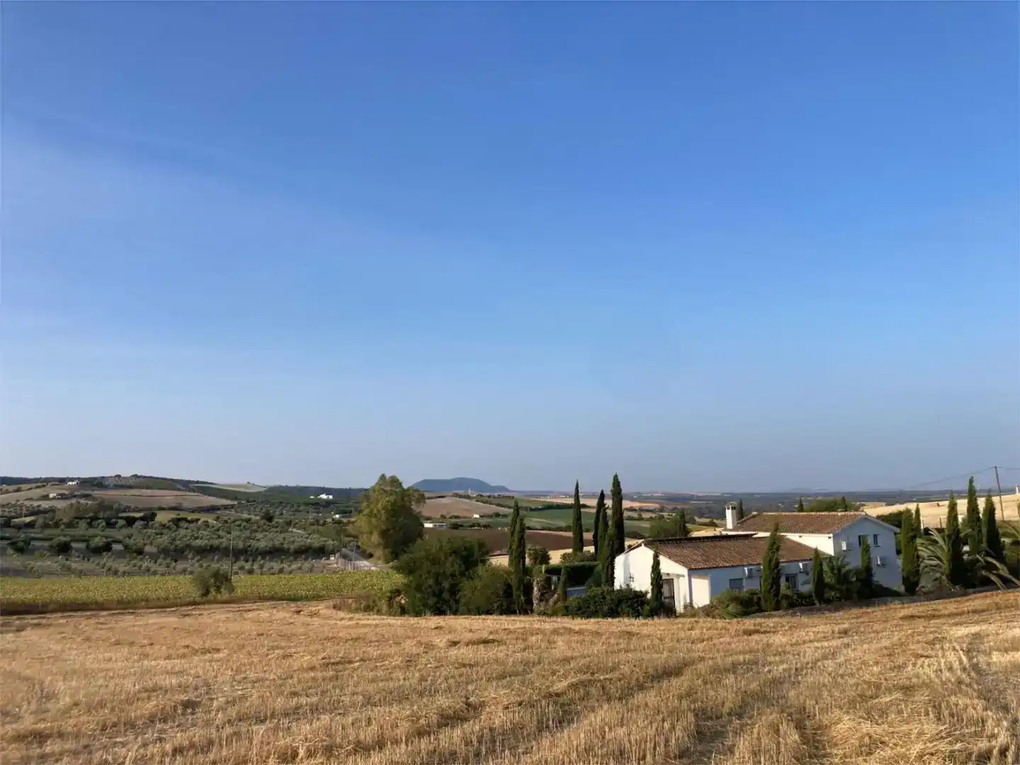 Finca rústica en venda en Arcos de la Frontera amb Aire condicionat i Piscina
