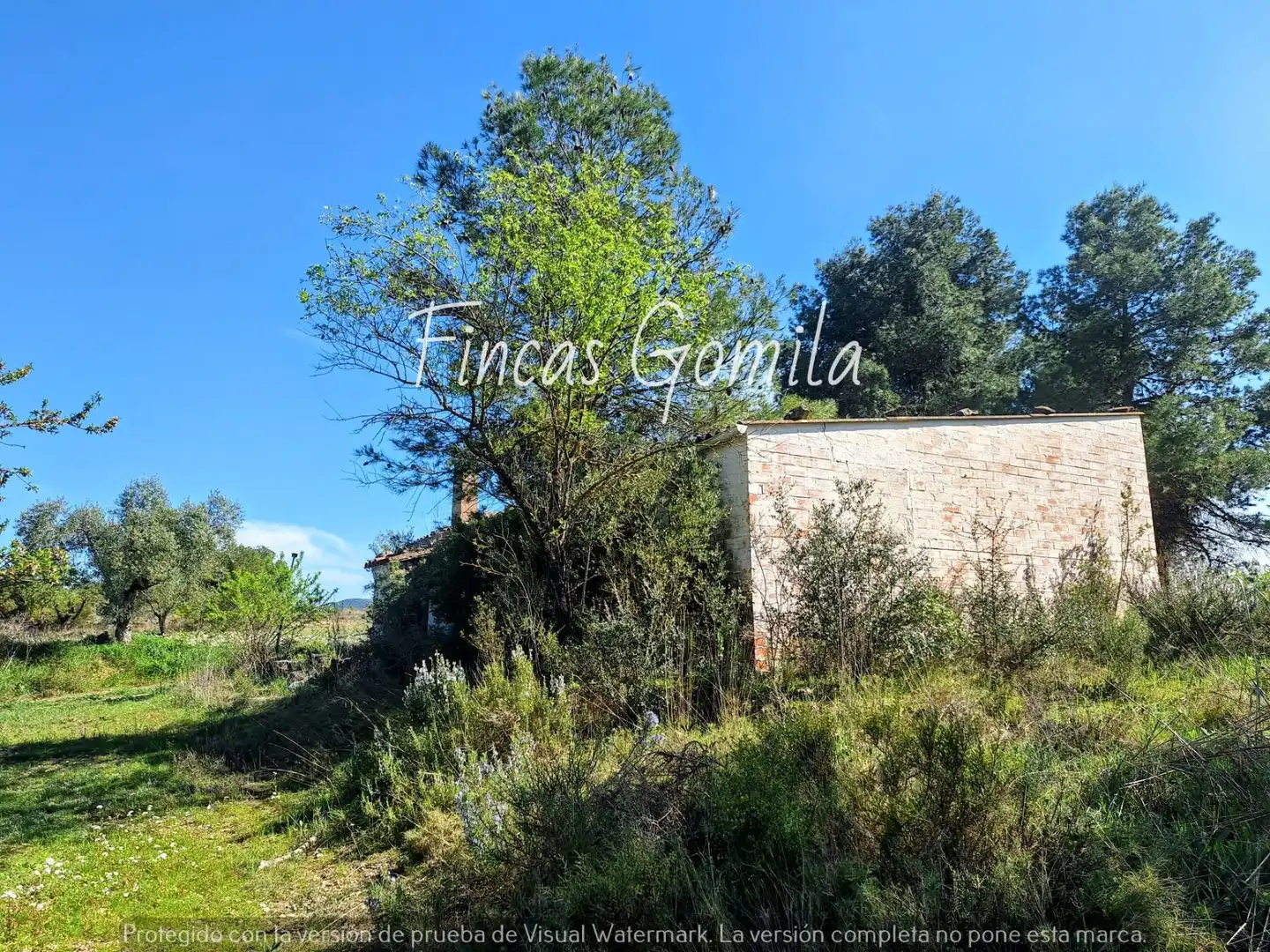 Rural land for sale in 8