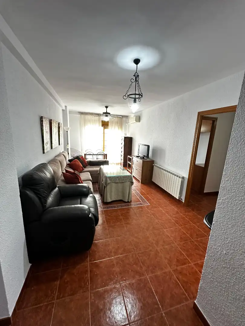 Sala d'estar de Pis de lloguer en Jaén amb Aire condicionat, Calefacció i Moblat
