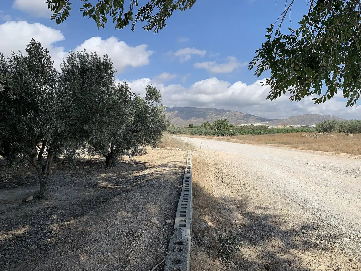 Finca rústica en venda en Caudete