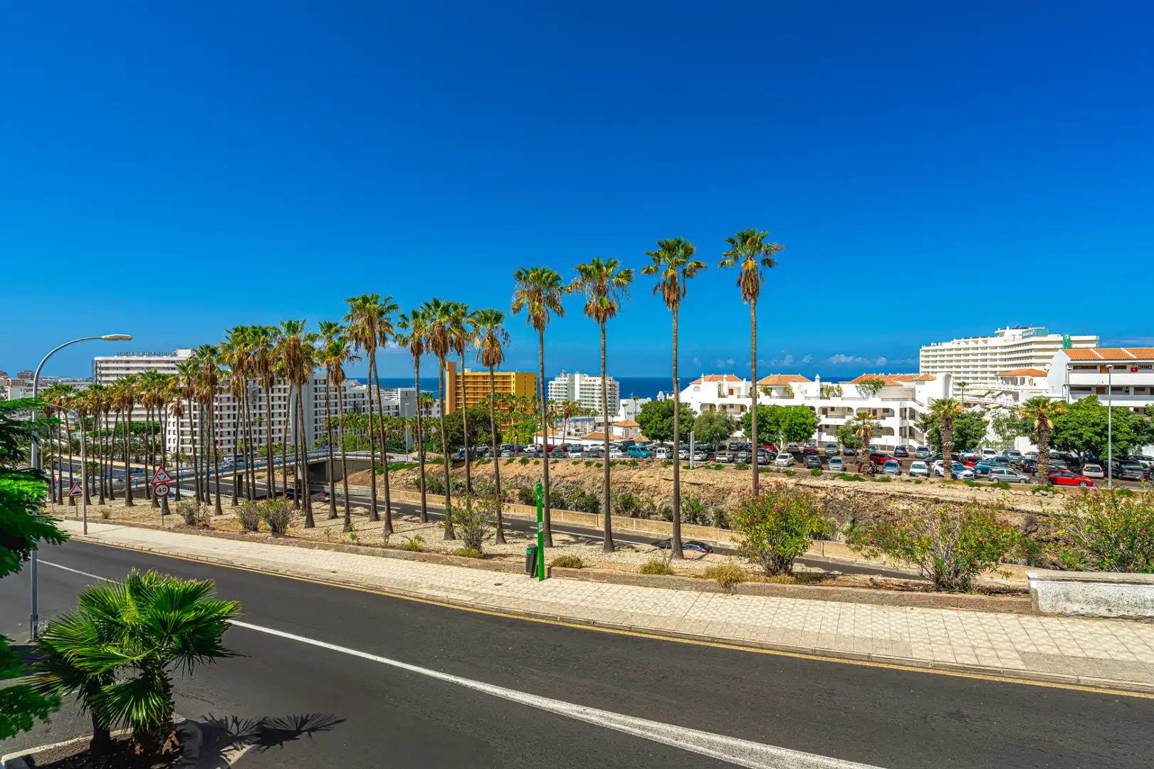 Vista exterior de Casa o chalet en venta en Adeje con Jardín privado y Terraza