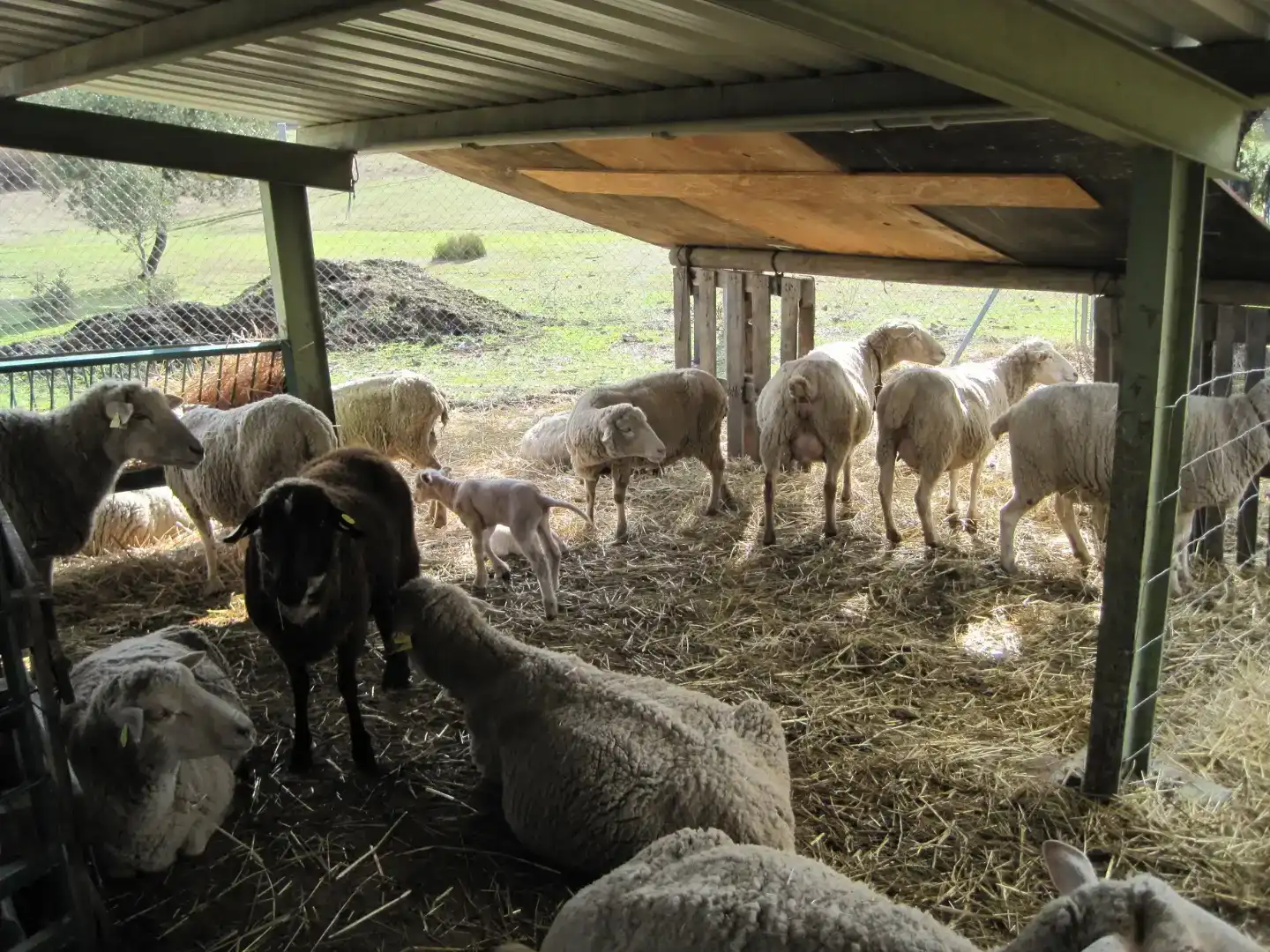 Vista exterior de Finca rústica en venda en Villasbuenas de Gata amb Aire condicionat, Traster i Piscina