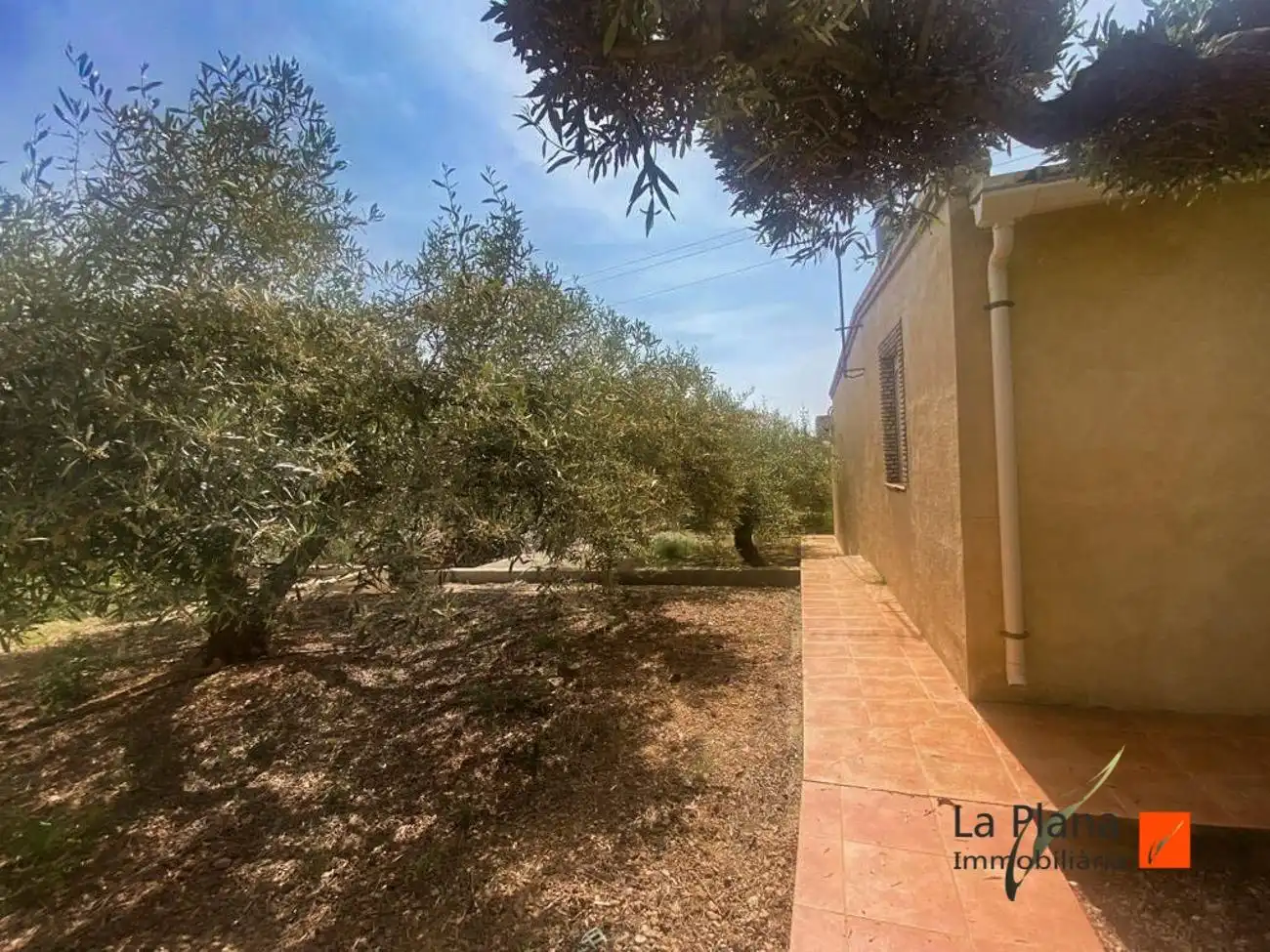 Terreno rustico in vendita a Alcanar