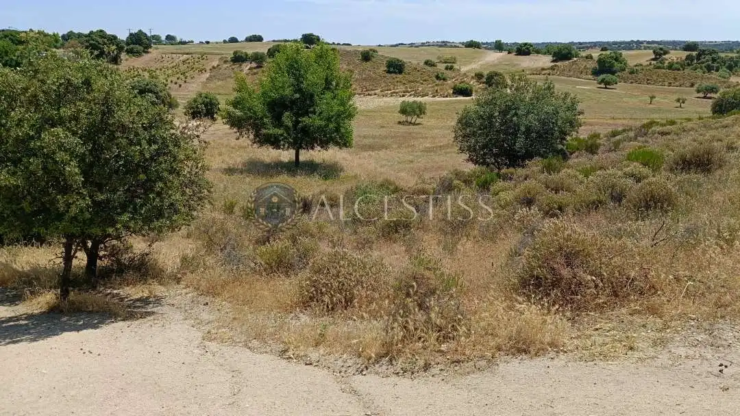 Land for sale in Méntrida