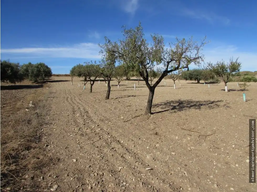 Country homes for sale in Antas