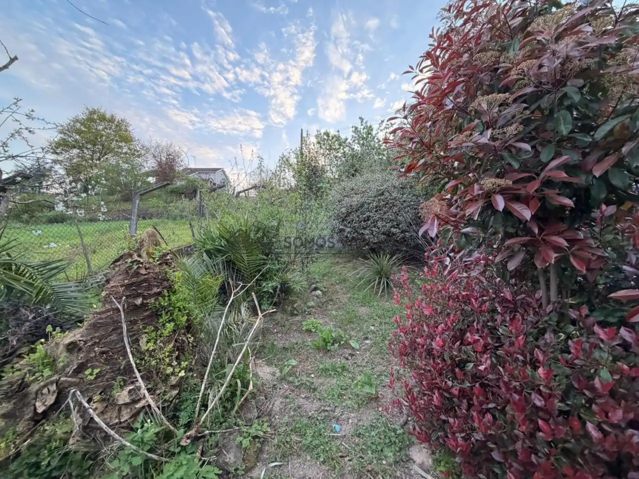 Jardín de Casa o chalet en venta en Coles con Calefacción, Jardín privado y Terraza