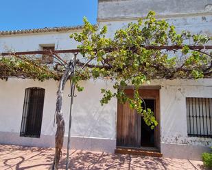 Exterior view of Country house for sale in Cullera