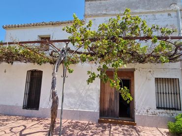 Maison rustique avec jardin à vendre à El Marenyet
