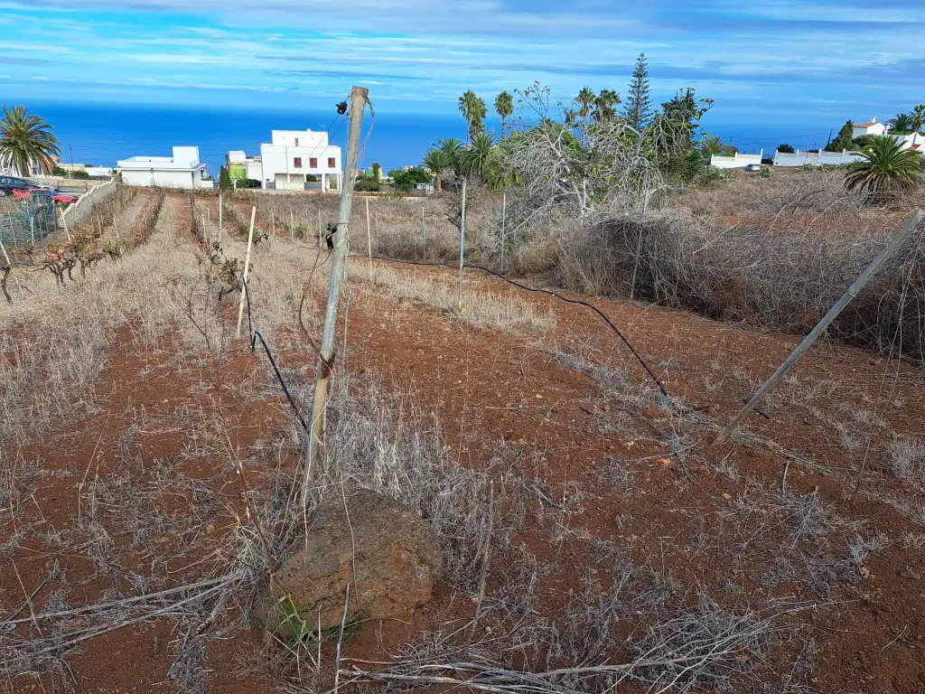 Rural land for sale in El Sauzal, imagen 35