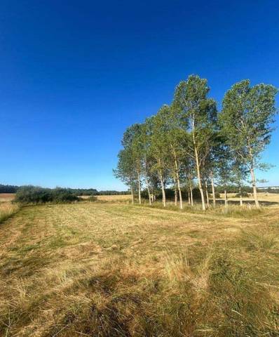 Terreno en Venta en Almanza