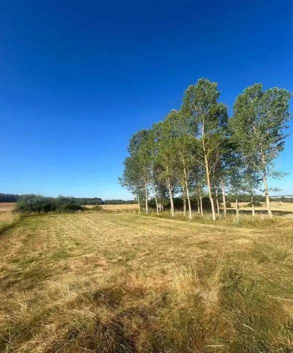 Terreno en venta en Almanza