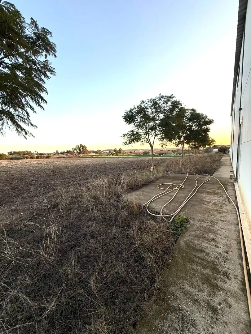 Rural land for sale in Ctra Sanlúcar - Cuatro Pinos, imagen 12