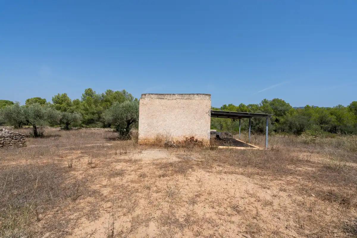 Rural land for sale in C-12 77, imagen 12