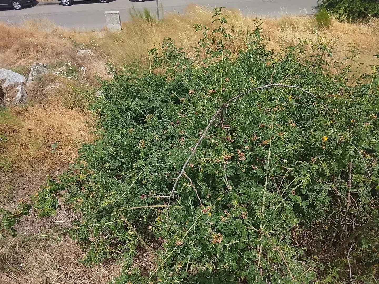 Terrenos y solares en venta en Robledo de Chavela, imagen 10