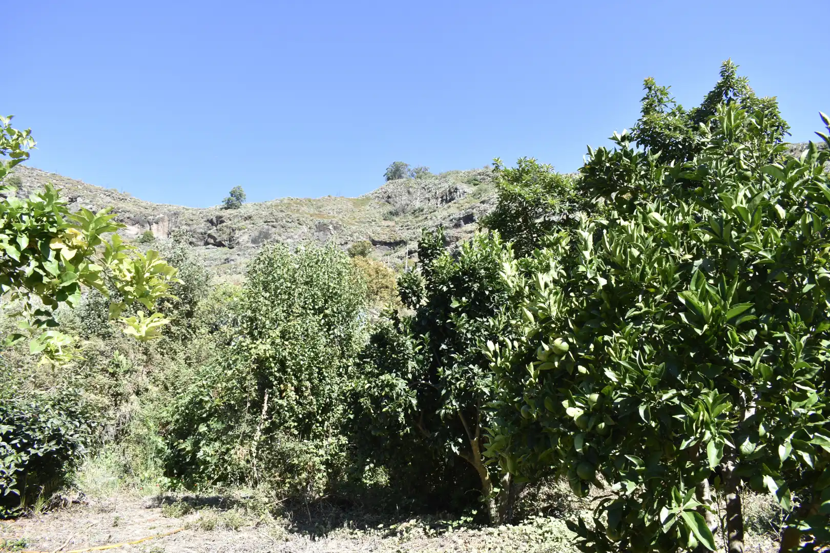 Casa o xalet en venda en Teror amb Calefacció, Jardí privat i Terrassa