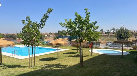Foto 5 de Piso de alquiler en Condequinto, Montequinto