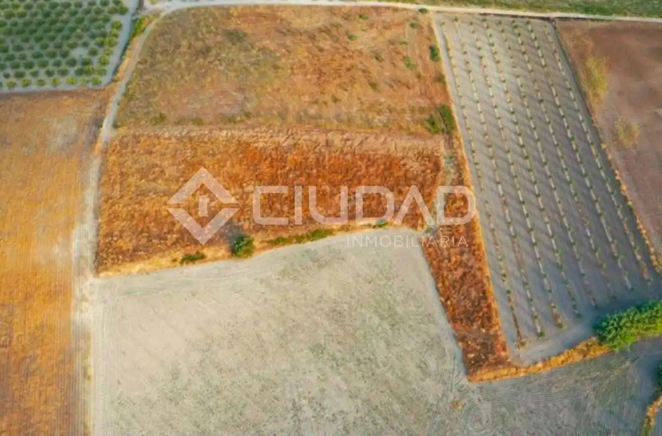 Lands and plots for sale in Lebrija, imagen 5