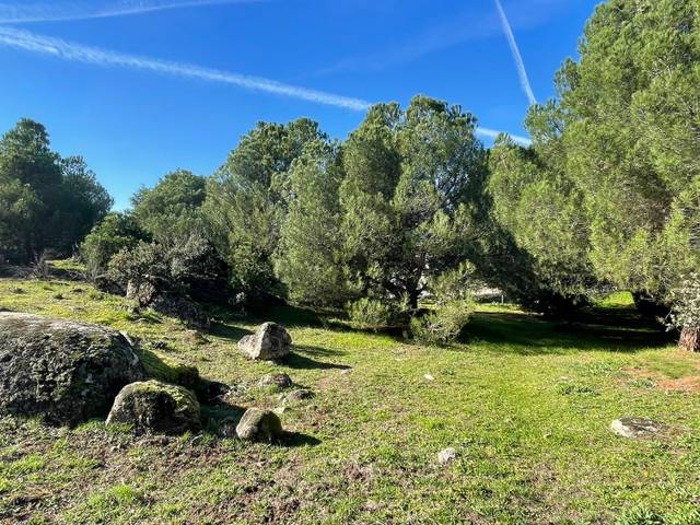 Terreno residencial en Venta en Avenida Sajonia, 4 en Parquelagos - Puente Nuevo