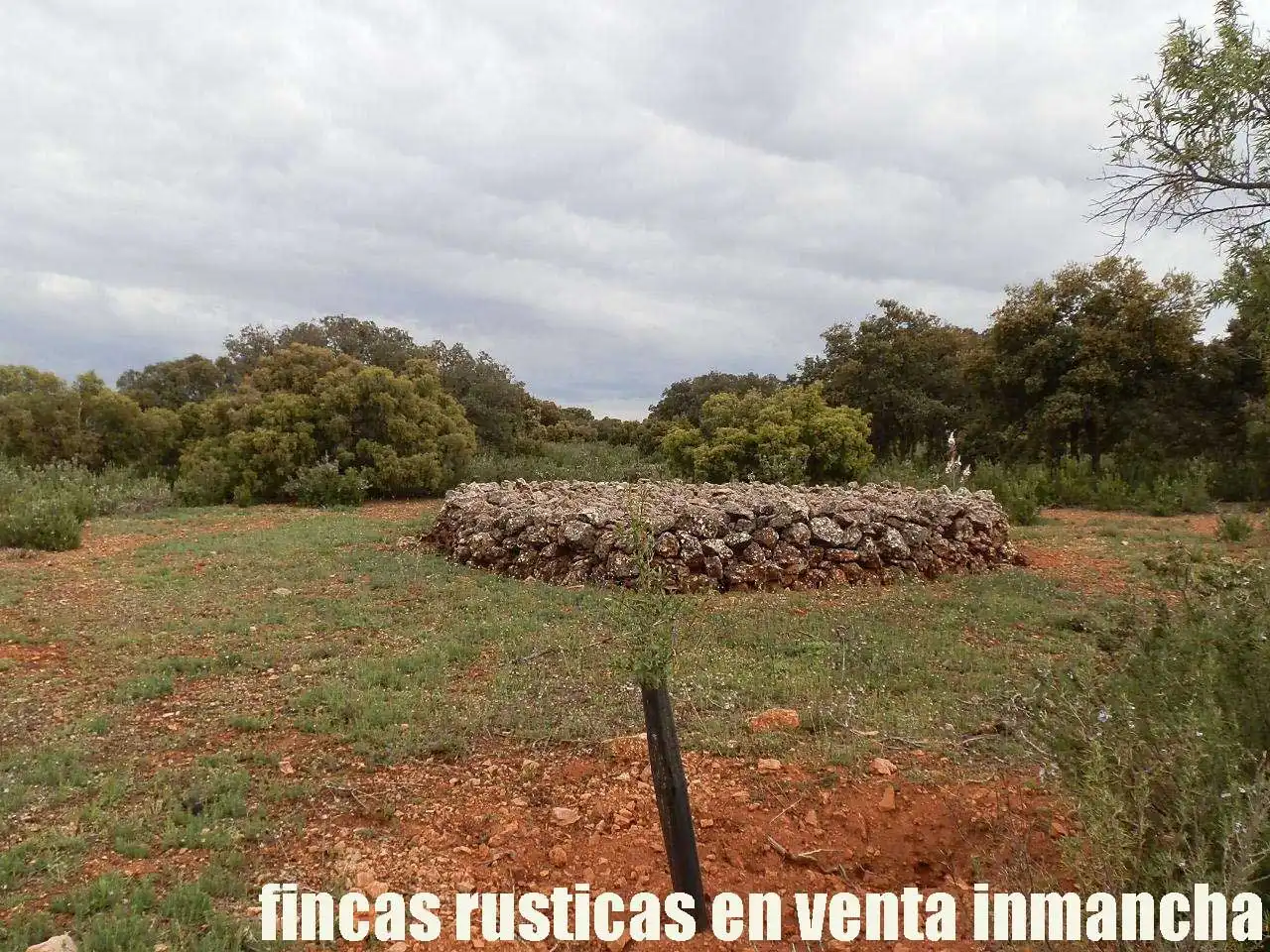 Terreno rustico in vendita a Ruidera, imagen 23