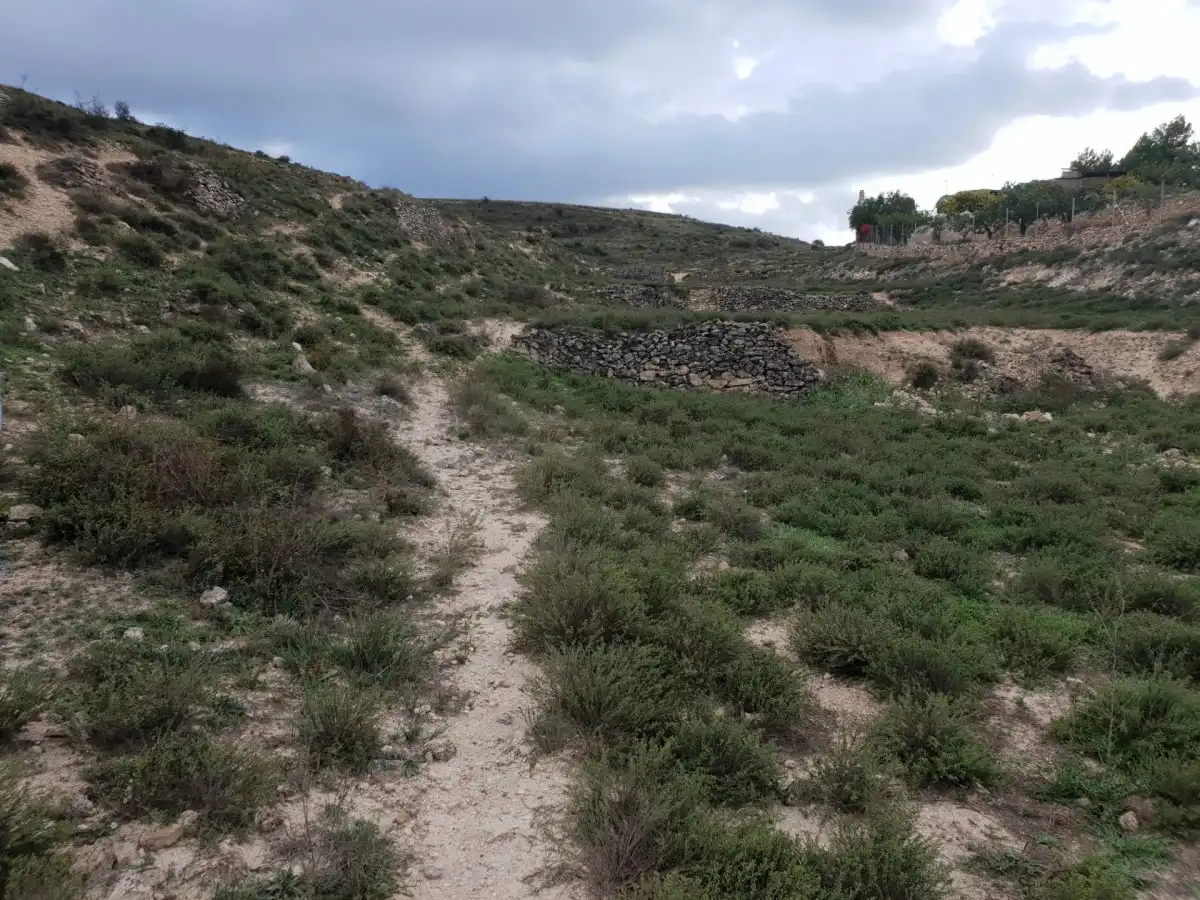 Terreni e lotti in vendita a El Pinar -  San León - Las Viñas, imagen 2