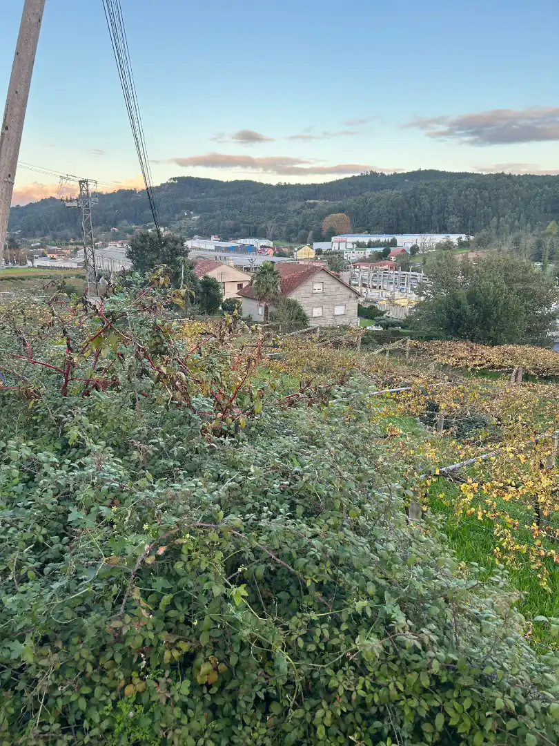 Terreni e lotti in vendita a Lugar Vilanoviña-Paradela, imagen 8