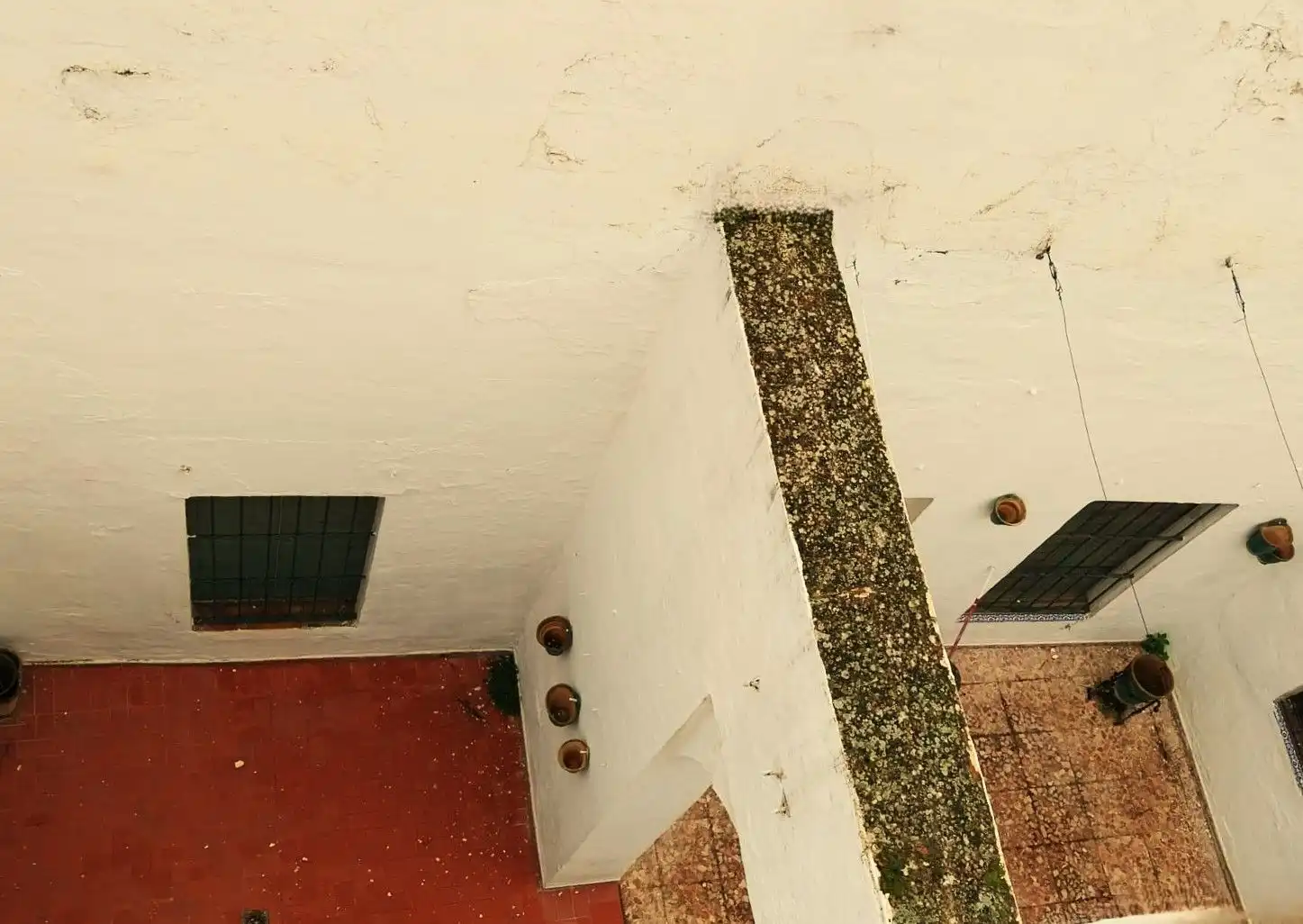 Exterior view of Houses for sale in Carmona